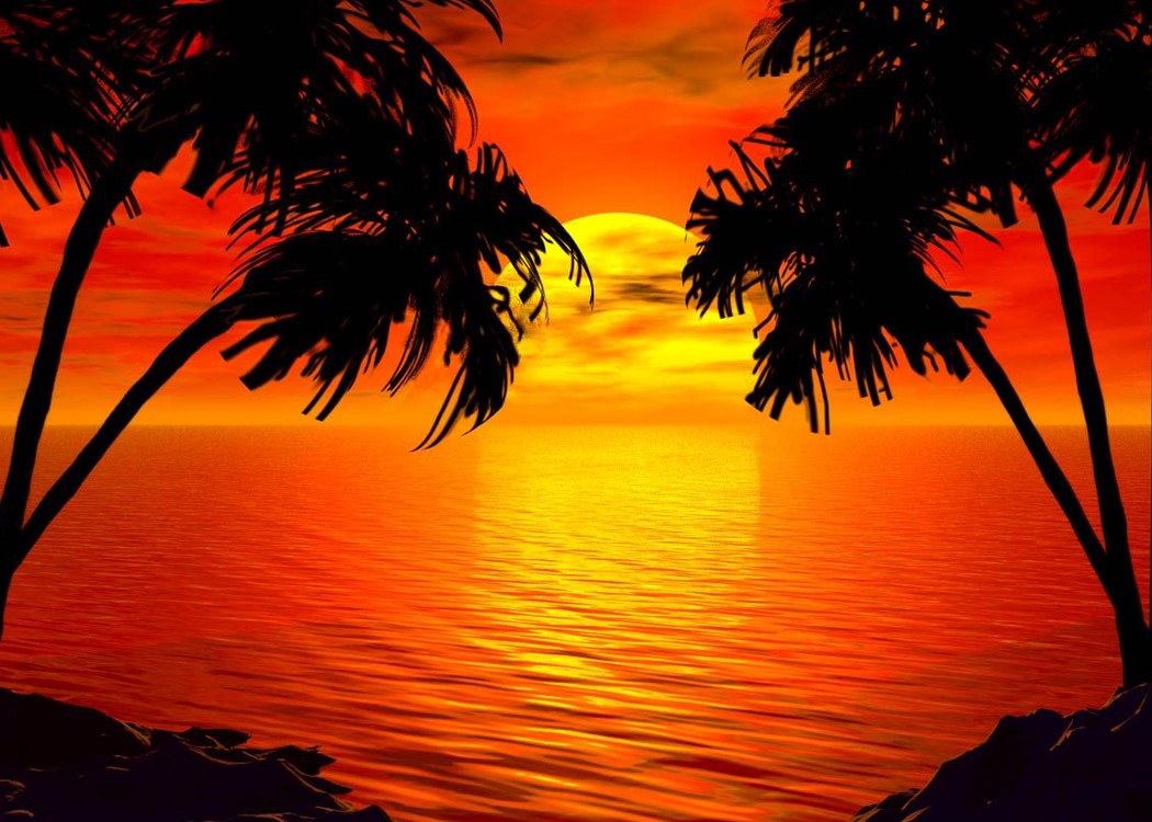 Signature Collection - Ecstasy and Beyond