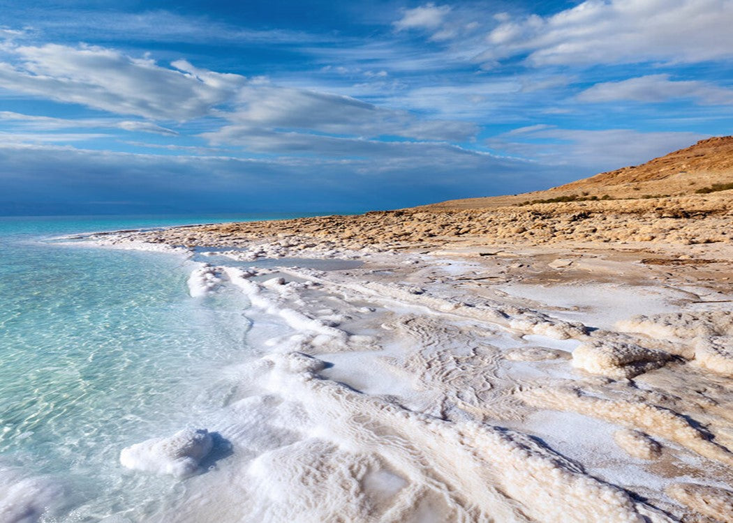 Fresh Meadows Scents