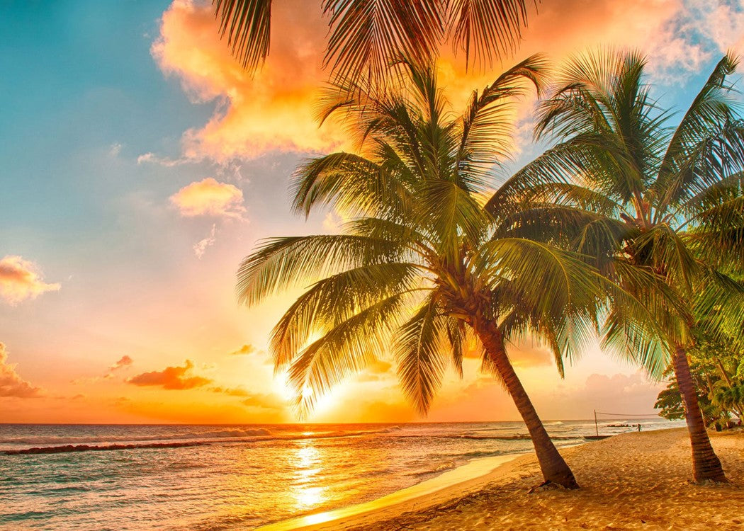 Sultry Summer Scents