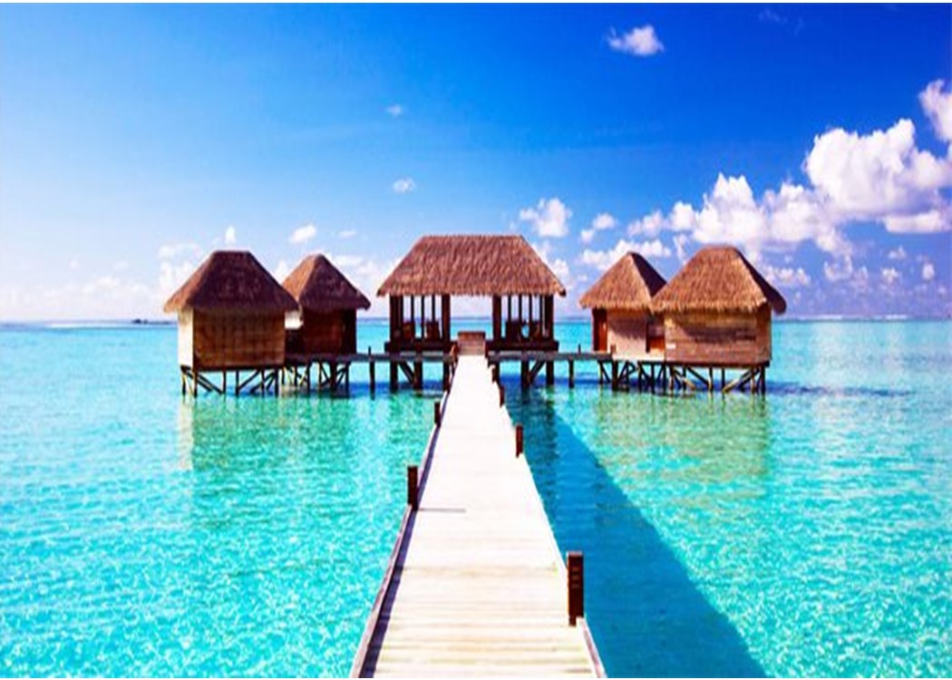 Signature Collection - Vacation Destinations